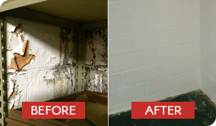 Quality Commercial Pressure Washing Services Near You