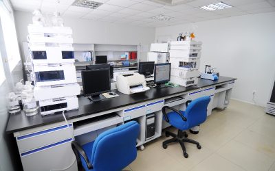 Revitalize Your Soil Naturally with Mycorrhizal Fungi for Sale