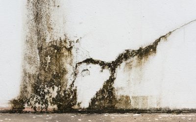 Storm Damage Restoration Service, Cottage Grove, OR: Your First Step to Recovery