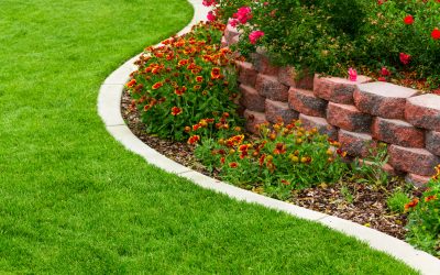 What to Consider When Hiring Commercial Landscape Services in Menifee, CA