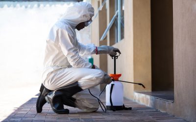 How Families Can Benefit From Effective Pest Control In Bradenton, Fl