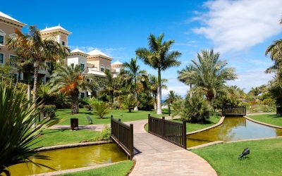 How a Poolside Resort in Honolulu, HI, Transforms Your Vacation into Pure Bliss