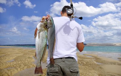 Guide to Planning Memorable Fishing Trips Montana Style for Beginners and Pros Alike