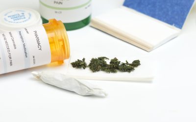 Unwind with Premium Options at Dispensaries Steamboat Springs CO for Quality Cannabis Selections