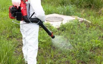 Homeowners benefit from trusted pest control services Land O Lakes FL for lasting peace of mind