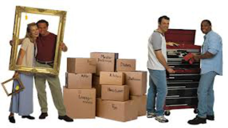 Find Seamless Relocation Solutions with Local Moving Companies Fort Collins Co Residents Trust