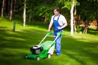 Choosing the Right Lawn Tractor Dealer in Spring Grove, PA for Hassle-Free Maintenance