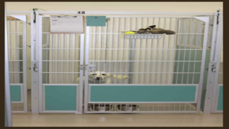 The Benefits And Services Provided When Your Pet Stays In An Outdoor Dog Kennel In Omaha, NE