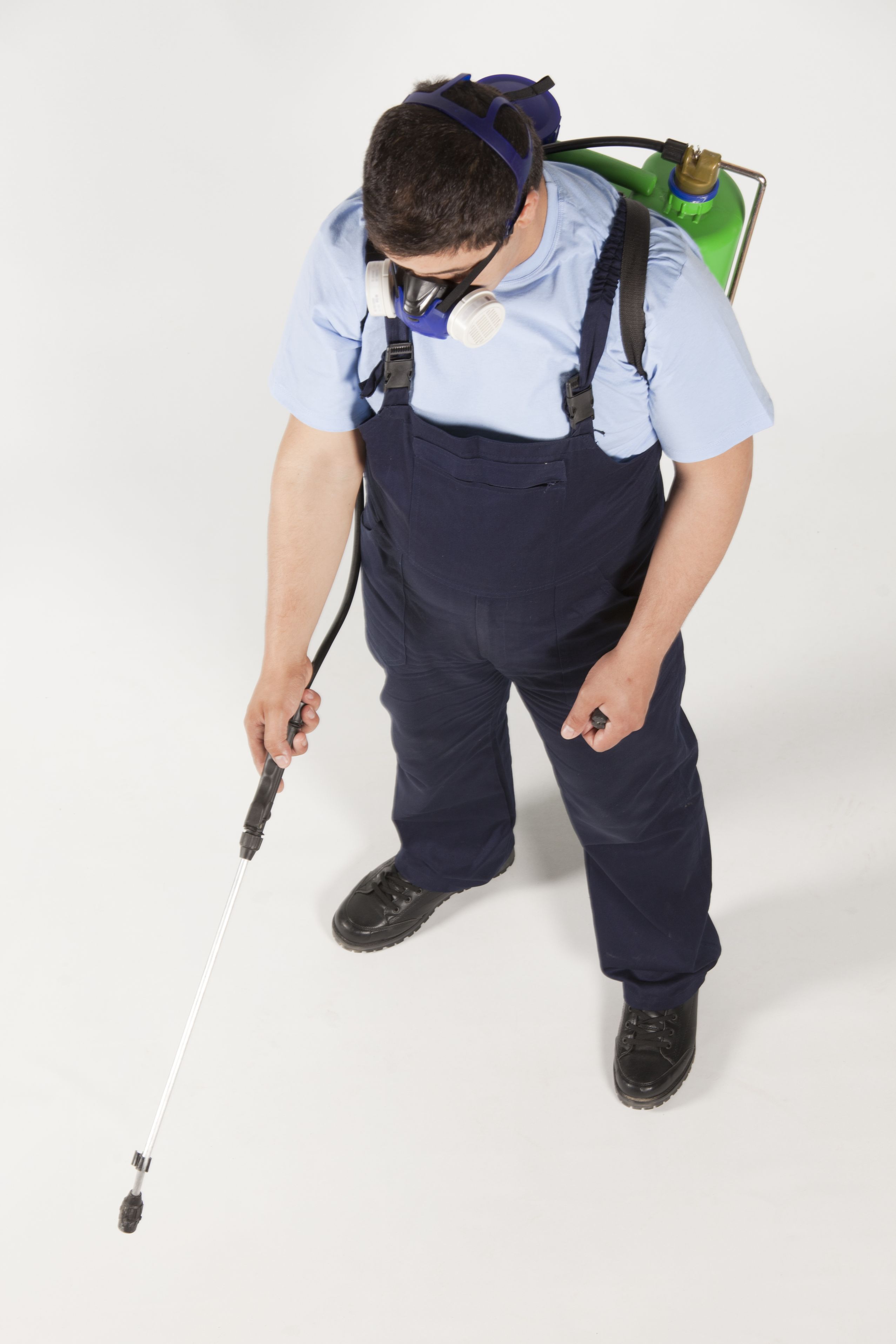 Effective Ways to Keep Your Home Safe with Pest Control in Eastvale CA