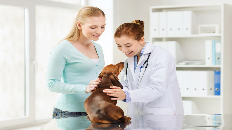 A Few Tips On Choosing The Best Veterinary Hospital Near Bridgeport