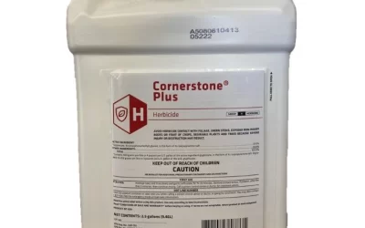 Cornerstone Plus Can Help You Eliminate Weeds and Regain Control of Your Yard