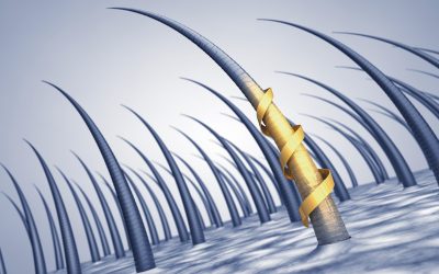 Restore Shine and Strength with Natural Hair Care Products in Cleveland OH