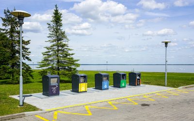 Benefits of Partnering With a Hauling Company Hayward CA for Reliable Debris Removal