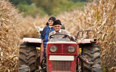 Maximizing Efficiency With Agricultural Equipment Austin TX for Local Growers