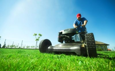 Find Trusted Lawn Care Companies Near Fort Lupton, CO for Hassle-Free Yard Maintenance