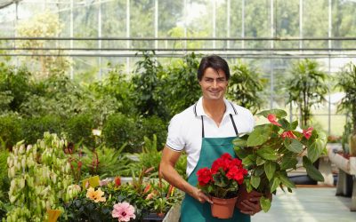 Brighten Any Occasion with a Florist Erie, PA Locals Rely on for Stunning Bouquets