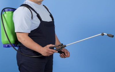 Protect Your Family with Pest Control Morris County NJ Services That Work