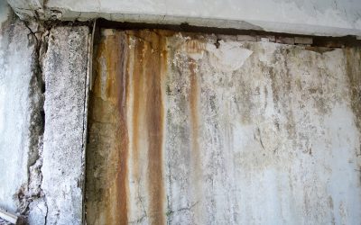 Protect Your Property With Reliable Basement Flood Damage Cleanup in Lisle, IL