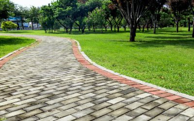 The Value a Landscaping Company in Arvada, CO, Brings to Creating Relaxing Backyard Retreats