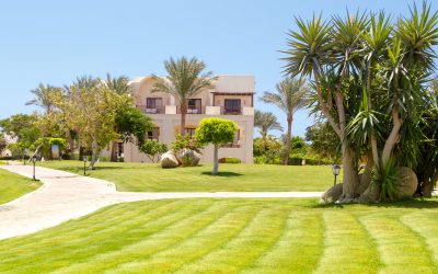 Enhance Property Value Using Landscape Design Build Experts, San Diego, CA, Techniques
