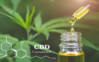 Find your perfect products and friendly advice at a Cannabis Store Rochester NY customers love