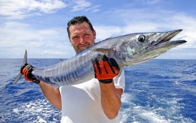 Unforgettable Family Memories Await With Redfish Fishing Trips
