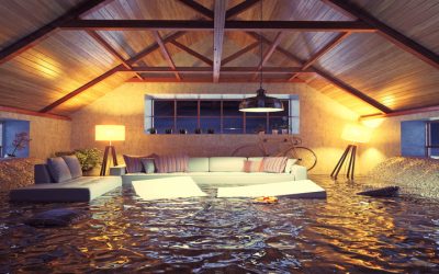 Step by Step Guide with a Water Damage Restoration Company Riverton WY for Peace of Mind
