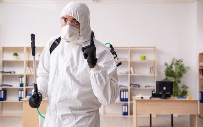 Keep Your Family Safe by Trusting a Pest Control Expert Sarasota FL for Lasting Solutions