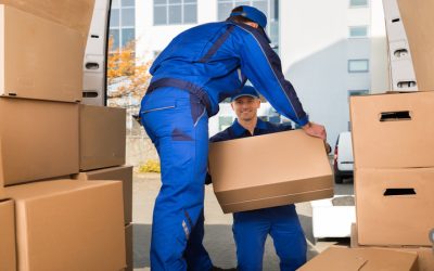 Save Time and Avoid Hassles with Local Moving Services: Florida Expertise