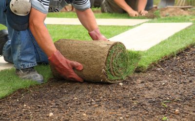 Improve Curb Appeal Easily With a Synthetic Grass Installer in Solution
