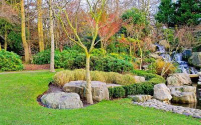 Transform Your Outdoor Space with a Skilled Landscaper Bergen County NJ Homeowners Trust