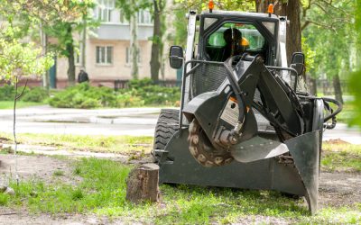 Why Homeowners Choose Toro Lawn Equipment in Minneapolis, MN for Reliable Lawns