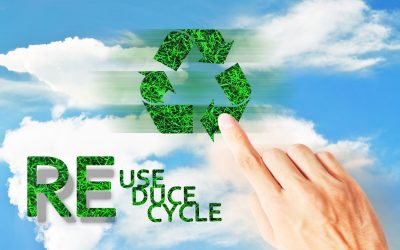 The Benefits of Using a Recycling Service Eugene OR for Environmentally Friendly Homes
