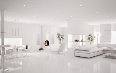 The Essential Guide to Interior Plant Maintenance Programs, Oak Brook, IL, for Busy Offices