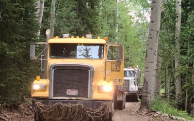 Heavy Haul Services Grand Junction CO and Solutions for Logistical Challenges