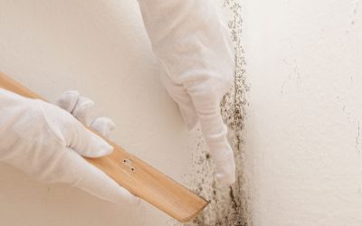 Prevent Costly Delays with Commercial Water Damage Restoration Mobile, AL Solutions
