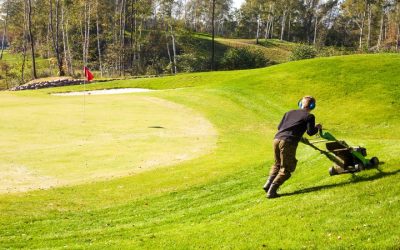 Achieve a Lush Lawn with Bermuda Grass Maintenance Service in Murrieta, CA Homeowners Trust