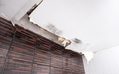 Save on home repairs by choosing experts in drywall repair Rome GA for flawless wall finishes