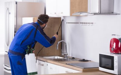 Why Reliable Pest Control Services Noblesville, IN Residents Trust Matter Most