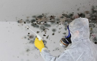 Why Indoor Air Quality Edmond Ok Services Matter for Allergy and Asthma Relief