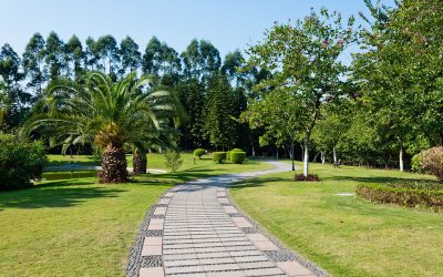 Bring Your Vision to Life Through Professional Landscape Design in Barrington, IL