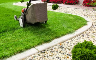How a Landscaping Stone Supplier in Byram, MS Can Transform Your Property