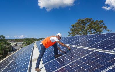 Bird Proofing Solar Panels Oahu HI Keeps Your Energy System Safe and Efficient