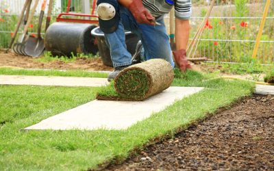 Artificial Grass Chandler, AZ, provides a year-round green lawn without the Hassle.
