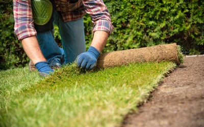 How a Landscaping Company in Stillwater, MN Can Boost Your Curb Appeal