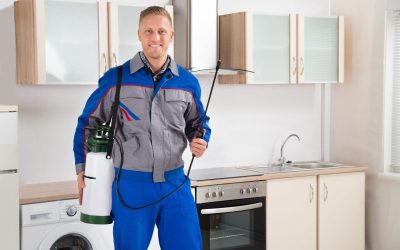 Fast Relief From Unwanted Pests With a Trusted Exterminator Cedar Grove NJ