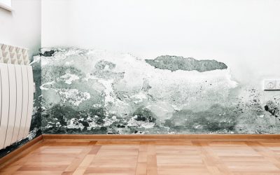 Homeowners Choose Basement Waterproofing In Cincinnati, OH for Reliable Flood Prevention