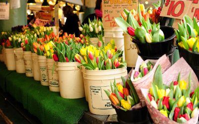 Brighten Any Occasion With a Flower Bouquet: Saskatoon Arrangements and Creative Gift Ideas
