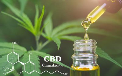 Uncover the Full Range of Products Offered by a Weed Dispensary in Springfield, MA