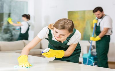 Creating a Cleaner Home With Routine House Cleaning in Lansing MI
